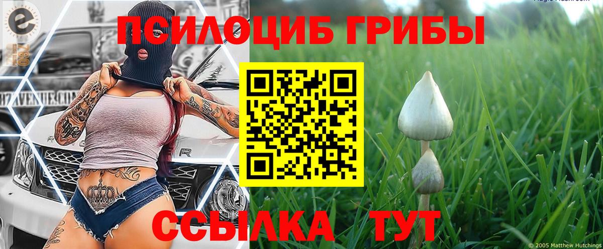 Свободный  Галлюциногенные грибы Magic Shrooms  Вход с VPN 