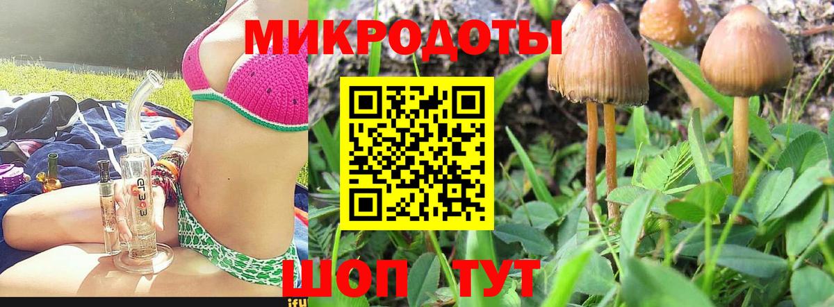 Псилоцибиновые грибы GOLDEN TEACHER Свободный
